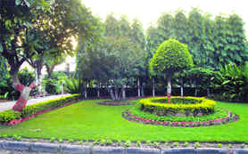 MC land has been encroached upon by a resident in Sector 8, Chandigarh.