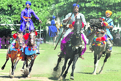 Baba Mehar Singhs team displays horse riding skills at Guru Gobind Singh Khalsa College, Sector 26, Chandigarh, on Thursday.