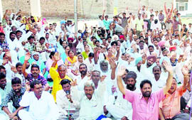 Municipal Corporation employees stage a dharna in support of their demands in Bathinda on Thursday.