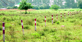 A large piece of land purchased by bigwigs near Mullanpur Garibdass on Chandigarhs periphery.