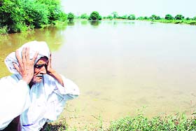 An old farmer sits dejected in his flooded field at Majra village in Jhajjar district