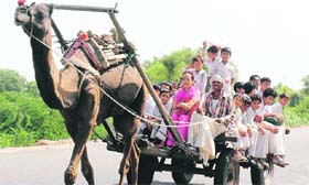 Schoolchildren and their teacher enjoy a camel-cart ride on their way to home on the Gurgaon-Ferozepur Jhirka road in Mewat district