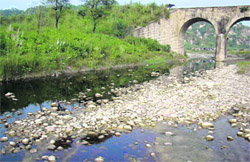 Polluted water from the Gwalthai industrial area of Himachal Pradesh enters the Sutlej in the Talwara Khad area of Nangal.