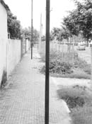 As many as nine poles have been put up by cable operators in the footpath area in Phase IIIB-1 in Mohali.