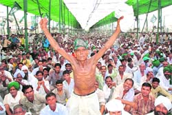 An INLD supporter at Samman Divas Samaroh in Jind .