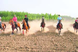 Riders get a feel of the terrain during the safari