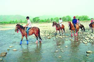 BALANCING RIGHT: Riders cross a river in the Paonta Sahib area