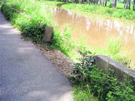 Boulders missing along the edges of the southern canal near Doraha.
