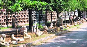Presence of sculptures gives a beautiful look to the campus of Government Arts College, Sector 10, Chandigarh