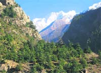 Niti valley in Chamoli district.