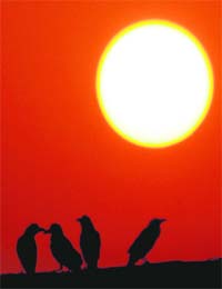 The sunrise in Karnal