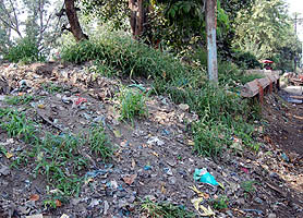 The greenbelt outside Amritsar railway station has virtually become a garbage dump.