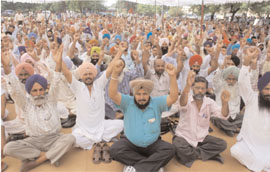 Members of the Co-ordination Committee Employees and PSEB officers stage a rally outside the thermal plant in Bathinda on Thursday.