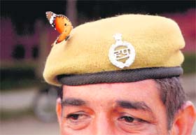 ABOVE THE LAW: This butterfly is captured perched on a cops cap in Jind by our photographer Ravi Kumar