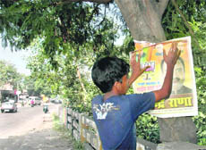 In violation of rules, a child pastes the poster of a political party on a tree at Pinjore on Friday.