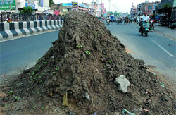 A huge pile of muck lying in the middle of the Bathinda-Goniana road.