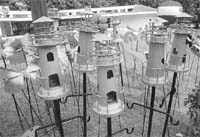 The Garden lighthouse