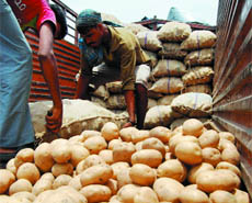 Labourers take out a potato sack from a truck at Azadpur Mandi in New Delhi on Monday.