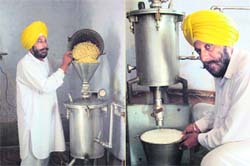 Bichittar Singh working at his soyabean plant in Deh Kalan village.
