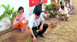 Airtel employees planted saplings on their office premises 