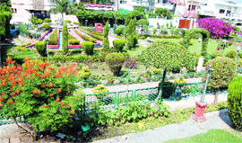 A beautiful view of Rose Park in Amritsar.