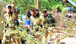 Security personnel search a forest area for militants at Noor Takiya at Pompore in Pulwama distric
