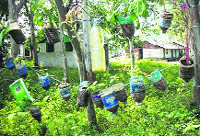 Bhopal Singh uses bottles as pots for his plants.