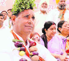 A BJP worker at an election rally addressed by Sushma Swaraj in Ambala on Friday. 