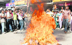 ABVP activists burning the effigy of deputy commissioner during a protest at Mandi on Friday.