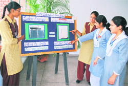 Posters with message against female foeticide at an exhibition in Ludhiana 