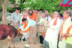 BJP and VHP workers worship a cow in Udhampur on Sunday.