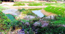 Various compartments of a village pond that are being used as natural water treatment plant at Rurka Kalan.
