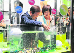 Visitors to Hong Kong's Electronics Fair (Autumn Edition) look at a waterproof sound system on the first day of the event on Tuesday.