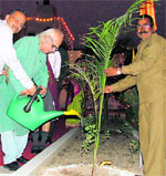 Prof Yashpal plants a sapling at KVM School in Ludhiana on Thursday.