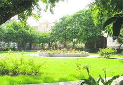 Park in front of the house of Deputy Speaker Satpal Gosain in Ludhiana