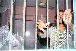 A man shows broken windowpanes of his house in Sector 35-A in Chandigarh.