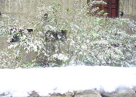 Leh adorned a white mantle following the first snowfall of the season