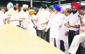 Ajmer Singh Lakhowal, Chariman, Punjab Madikaran Board, examine the 201 variety of paddy at Grain Market, Mullanpur Dakha
