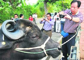 Members of the Chinese delegation during their visit to GADVASU in Ludhiana
