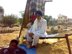A paddy farmer awaits lifting of his produce at the Grain Market in Bathinda.