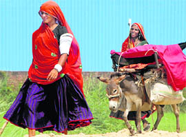 Women in traditional dresses along with an overloaded donkey go about their daily chores in Chandigarh on Thursday.