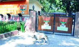 The BJP headquarters at Ashoka Road in New Delhi wears a deserted look on Thursday after the party lost state elections in Haryana, Maharashtra and Arunachal Pradesh.