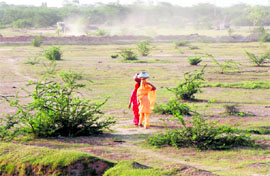 Despite claims of Haryana being No 1 state, women in villages have to travel long distances for drinking water as shown in this photograph by our lensman Ravi Kumar near Bandheri village in Sonepat district
