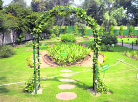 The medicinal plants garden at the residence of then vice-president, Bhairon Singh Shekhawat.