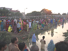 Migrant families from Uttar Pradesh and Bihar perform Chaat Puja in Phagwara On Saturday.