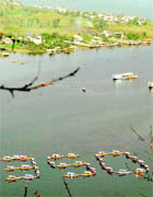 Shikarawallas make a formation that reads 350 in the Dal Lake in Srinagar on Saturday. The 350 ppm (parts per million) carbondioxide was the amount of the gas identified by the scientists as the upper limit in the atmosphere to arrest global warming effects. 