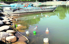 Despite legal norms and several anti-pollution drives, unmindful disposal of plastic waste is a common sight at Sukhna Lake in Chandigarh.