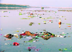 Offerings dumped at the Sutlej bank on the occasion of Chhat Puja at Ludhiana.