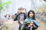 A woman member of the Gujjar community in the Raja Ji National Park area along with her animals