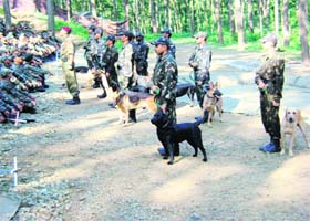 IMAs new warriors: The Indian Military Academy (IMA) has gone a step further in strengthening its security by employing dog squads